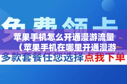 苹果手机怎么开通漫游流量（苹果手机在哪里开通漫游）