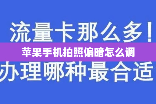 苹果手机拍照偏暗怎么调