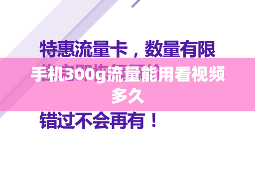 手机300g流量能用看视频多久