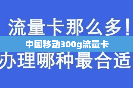 中国移动300g流量卡
