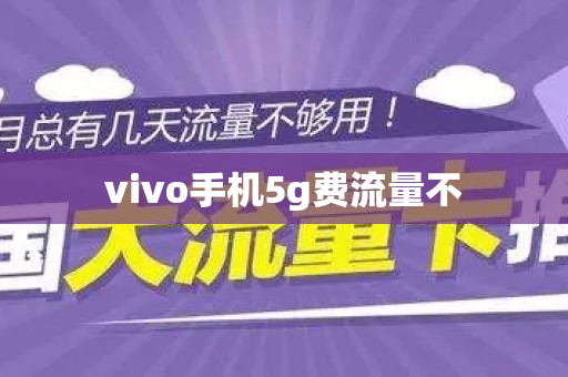 vivo手机5g费流量不