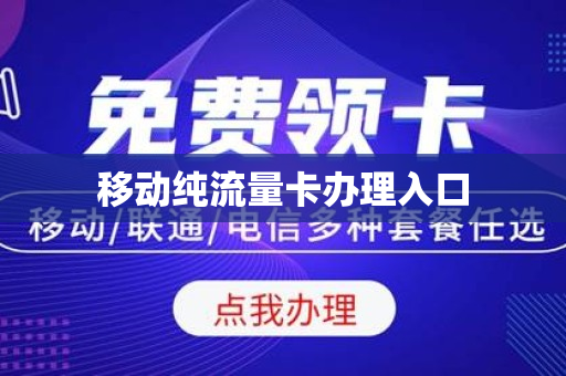 移动纯流量卡办理入口