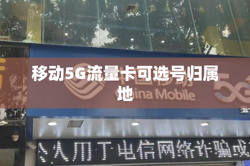 移动5G流量卡可选号归属地