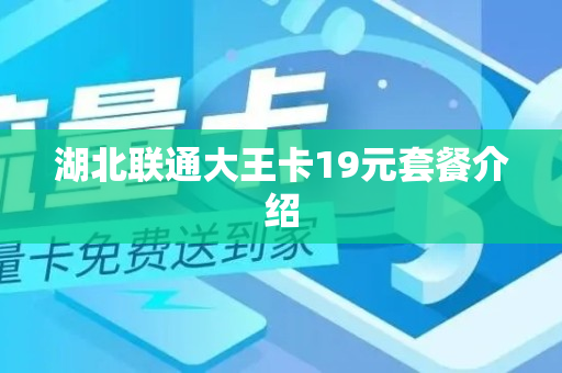 湖北联通大王卡19元套餐介绍