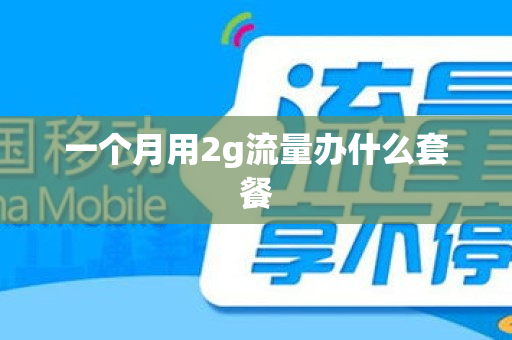一个月用2g流量办什么套餐