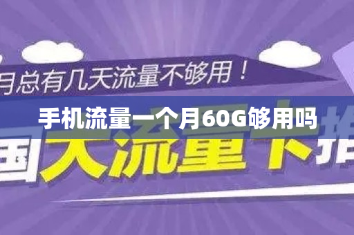 手机流量一个月60G够用吗