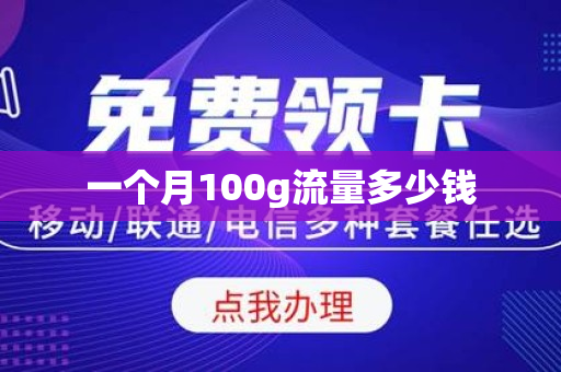 一个月100g流量多少钱