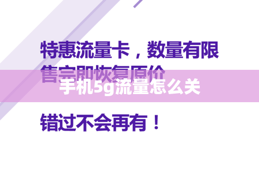手机5g流量怎么关