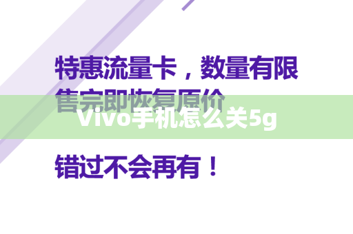 Vivo手机怎么关5g