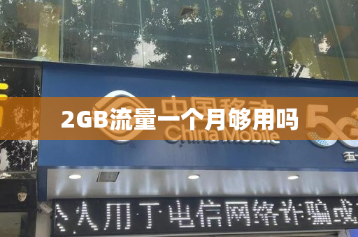 2GB流量一个月够用吗