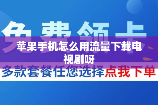 苹果手机怎么用流量下载电视剧呀