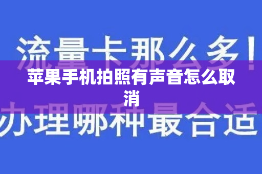 苹果手机拍照有声音怎么取消