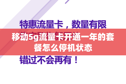 移动5g流量卡开通一年的套餐怎么停机状态