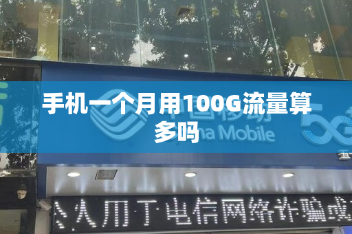手机一个月用100G流量算多吗