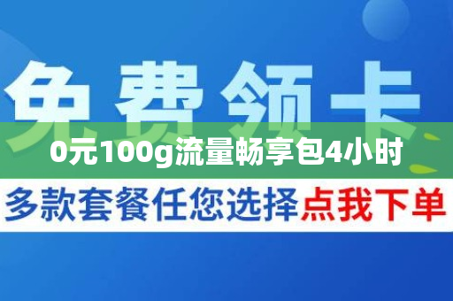 0元100g流量畅享包4小时