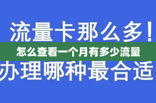 怎么查看一个月有多少流量