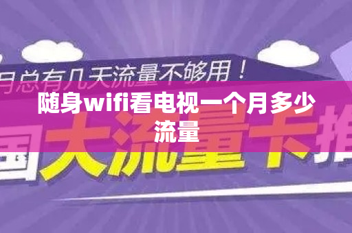 随身wifi看电视一个月多少流量