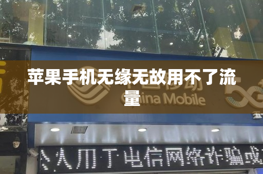 苹果手机无缘无故用不了流量