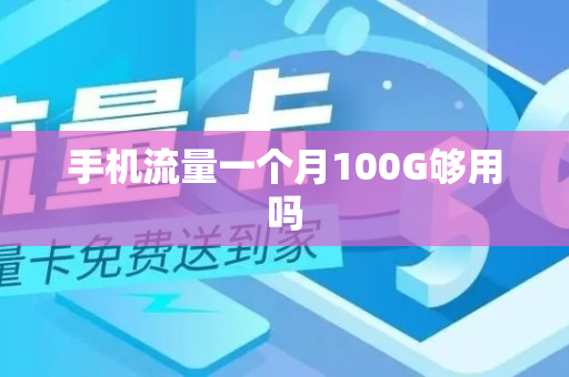 手机流量一个月100G够用吗