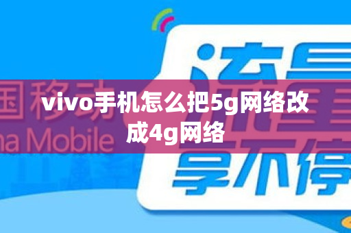 vivo手机怎么把5g网络改成4g网络