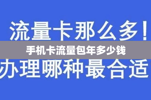 手机卡流量包年多少钱