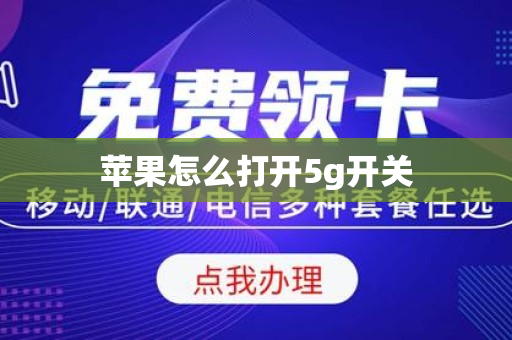 苹果怎么打开5g开关