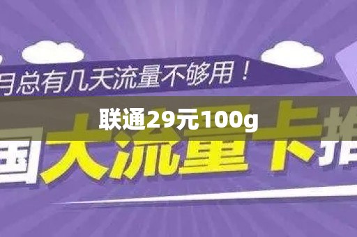 联通29元100g