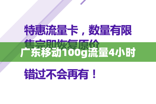 广东移动100g流量4小时