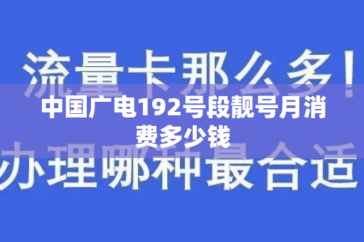 中国广电192号段靓号月消费多少钱