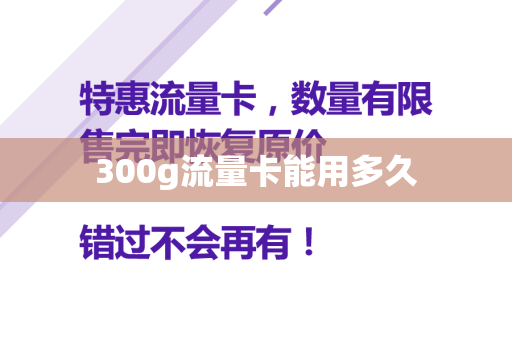 300g流量卡能用多久