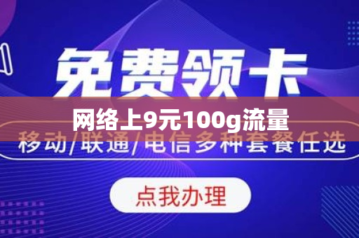 网络上9元100g流量