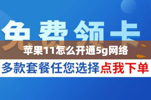 苹果11怎么开通5g网络