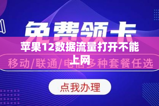 苹果12数据流量打开不能上网