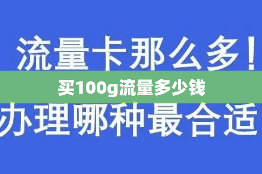 买100g流量多少钱