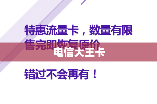 电信大王卡
