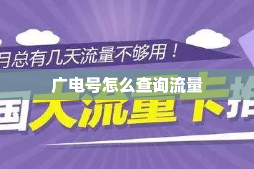 广电号怎么查询流量