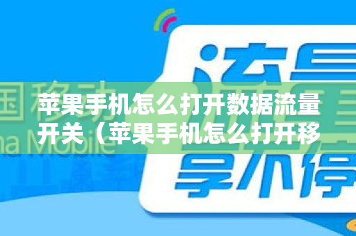 苹果手机怎么打开数据流量开关（苹果手机怎么打开移动数据网络）