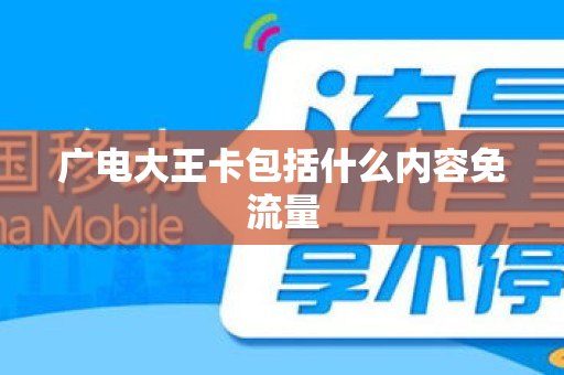 广电大王卡包括什么内容免流量