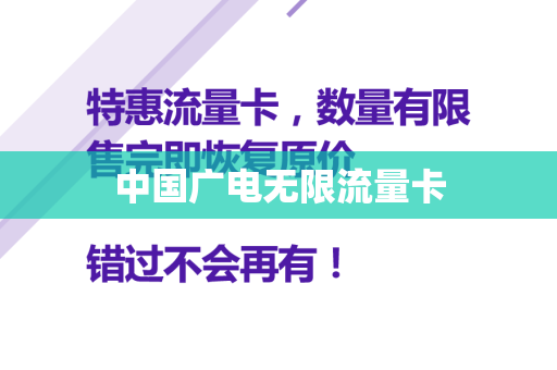 中国广电无限流量卡