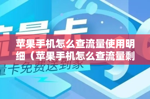 苹果手机怎么查流量使用明细（苹果手机怎么查流量剩余多少）