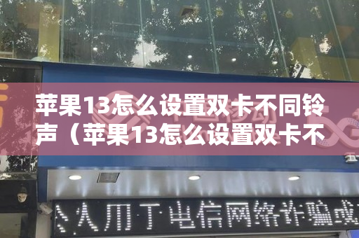 苹果13怎么设置双卡不同铃声（苹果13怎么设置双卡不同铃声音乐）