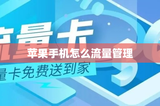 苹果手机怎么流量管理